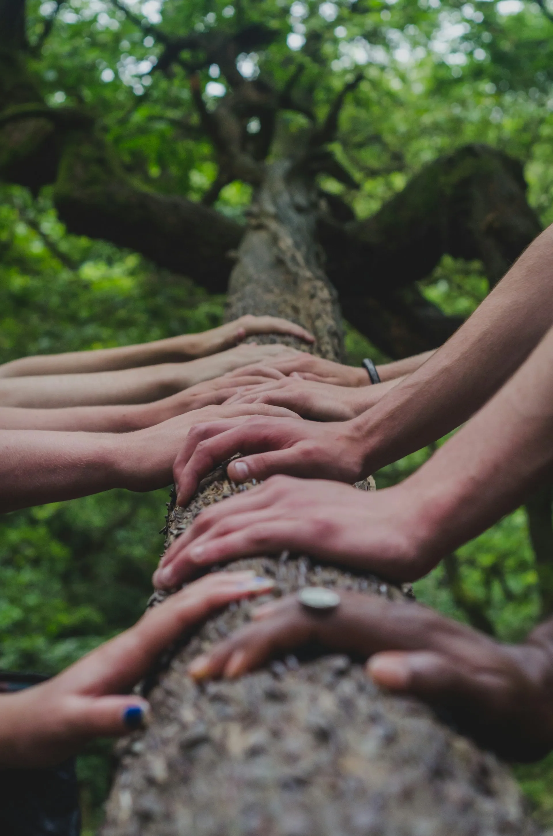 Community working together